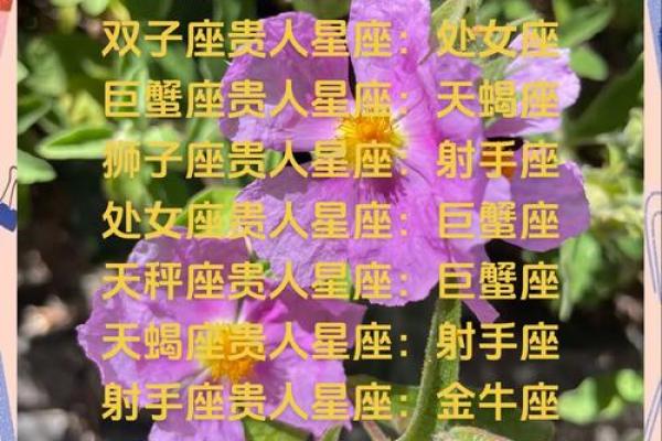 摩羯座最佳配对星座