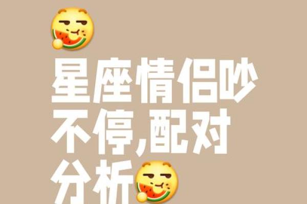 双子和什么星座适合做情侣