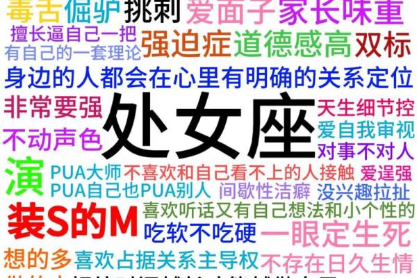 处女座男和什么座最配对,处女座男和什么座最配