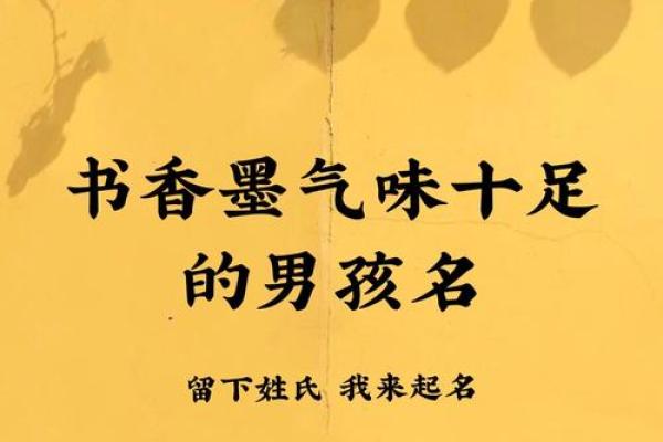 2019年4月2号子时出生的男孩如何起名姓名