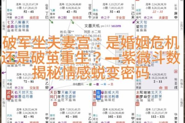 紫薇斗数中的坐守是什么