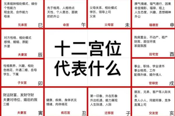 紫薇斗数中的坐守是什么
