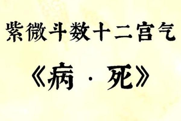 紫薇斗数看牢狱灾