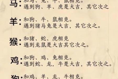 九四年属什么生肖婚配 九四年属什么生肖配对