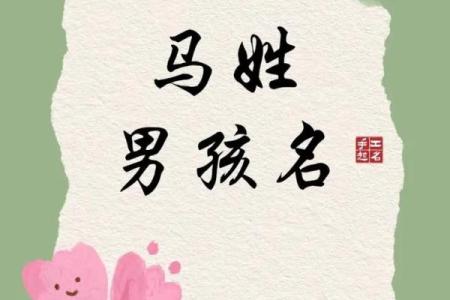 如何给三月份出生的属马的男孩取名字姓名