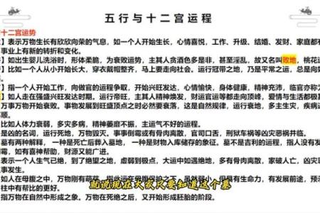 五行八字