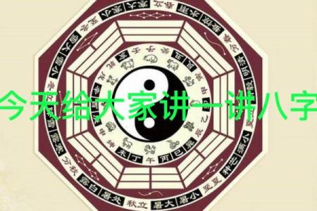 八字基础视频