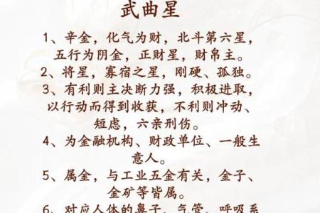 神巴巴紫薇斗数下载
