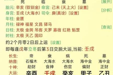 八字紫运