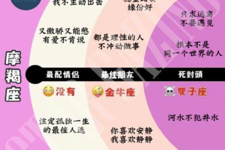 摩羯座最佳配对星座