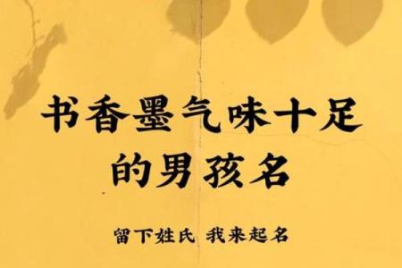 2019年4月2号子时出生的男孩如何起名姓名