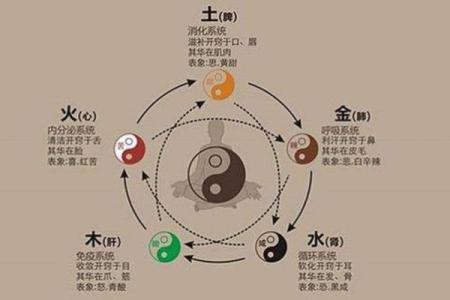 从生辰八字，测测你的健康方面