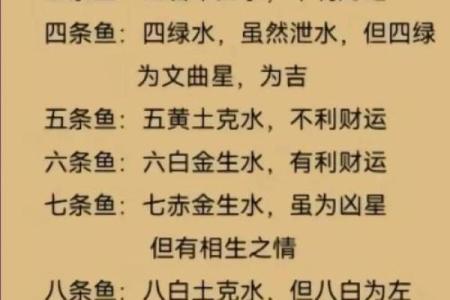 家里养鱼也是有一些风水禁忌的