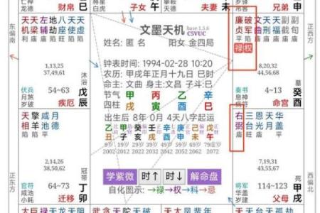 紫薇斗数看牢狱灾