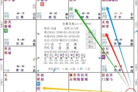紫薇斗数教学初级