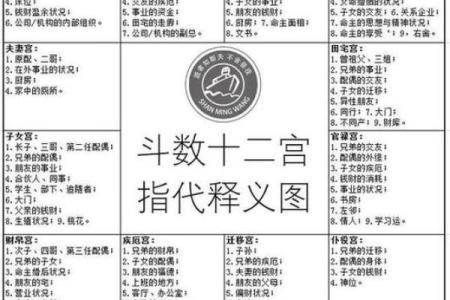 紫薇斗数举门宫