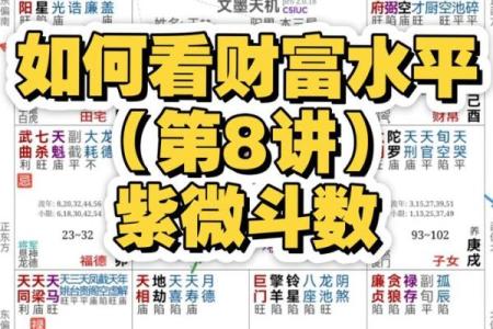 紫薇斗数看旺夫