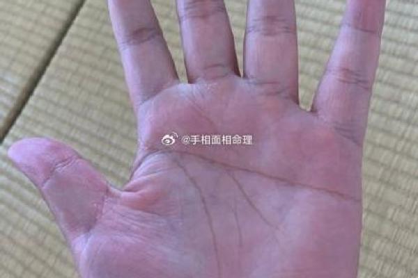 风水观点女子右手假断掌手相解析