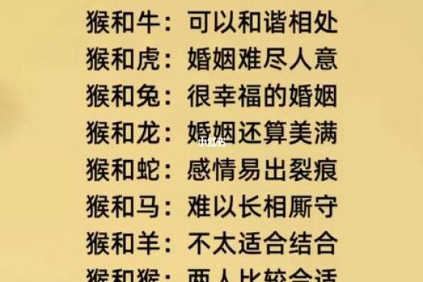 12生肖婚姻最佳配对 12生肖婚姻最佳配对表大全