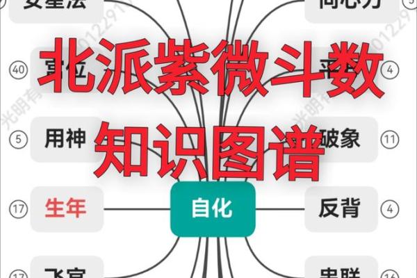 紫薇斗数知识资源