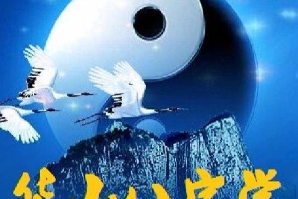 没基础硬学八字！墙都不扶，舅服你。