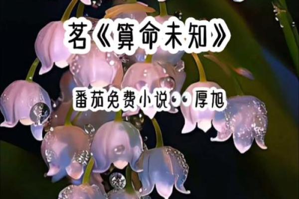 10大经典的算命小说玄幻