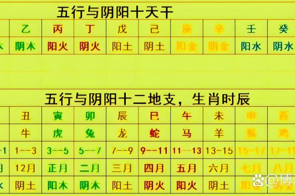 八字基础，干支阴阳差异
