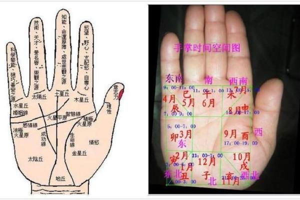 女人手相算命图解