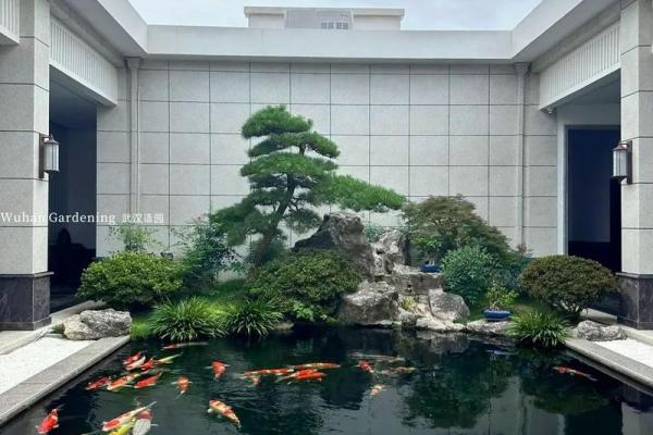 房子东面建鱼池风水好吗