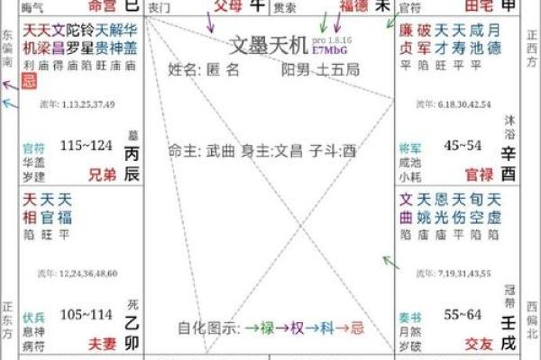 紫薇斗数权忌科