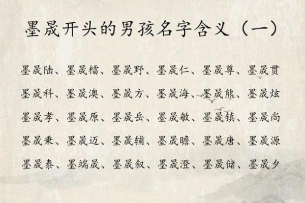 属猪寅时出生的男孩怎么取名字，宜用什么字姓名