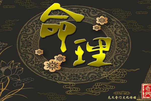 八字收集