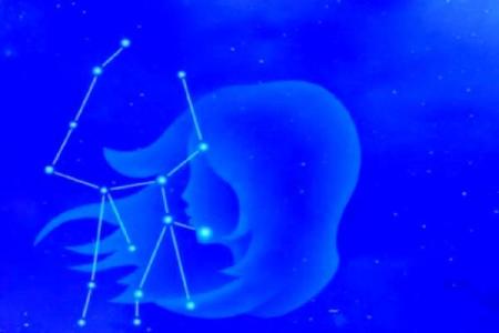 水瓶座上升星座是处女座吗