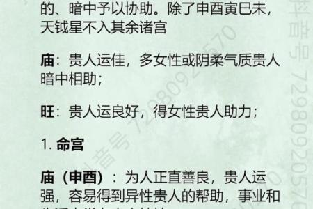 紫微斗数术语解释之：正星、辅星