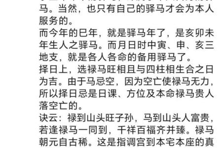 风水男人带驿马好不好什么意思