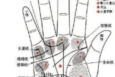 女人手相算命图解