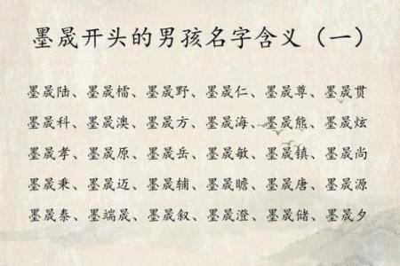 属猪寅时出生的男孩怎么取名字，宜用什么字姓名