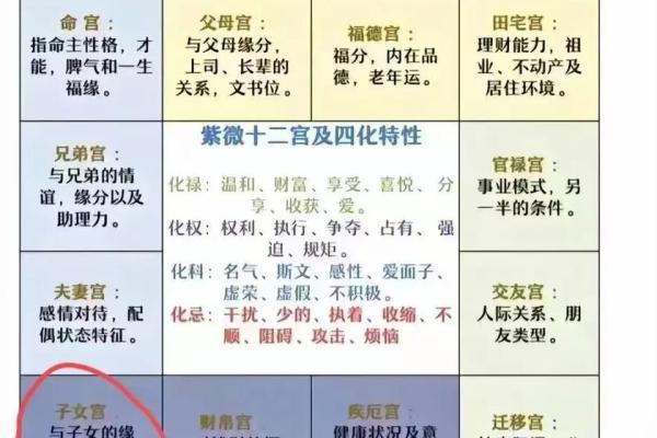 紫薇斗数盘是什么