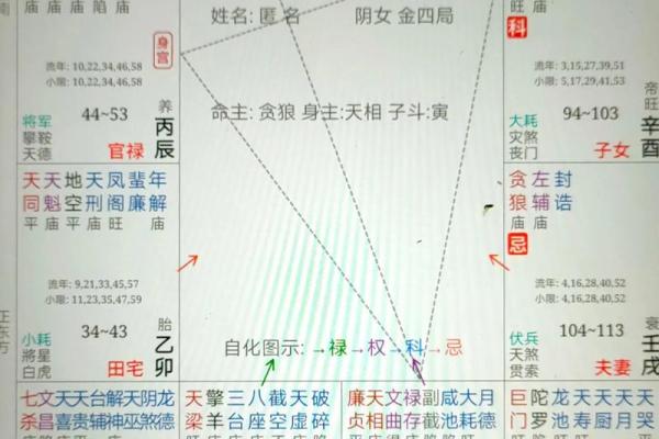紫微斗数：廉贞星