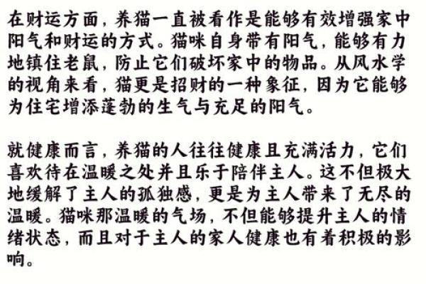 养黄猫的风水 家里养二只猫风水好不好