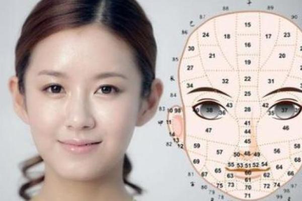 相面算命影视剧在线观看