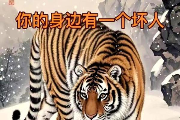 属虎方位吉凶查询大全视频