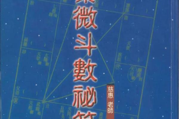 紫薇斗数实战视频
