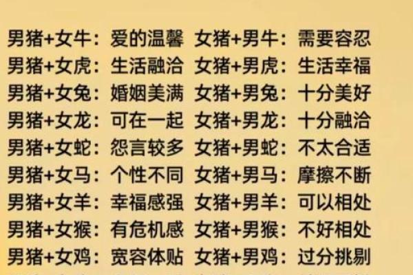 八字配对属龙男与属猪女合得来吗 结婚会怎样