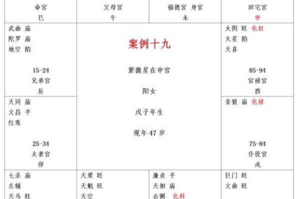 紫薇斗数向心忌