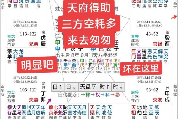倪海厦紫薇斗数在线排盘