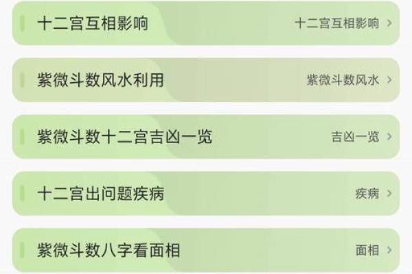 紫薇斗数宗师级