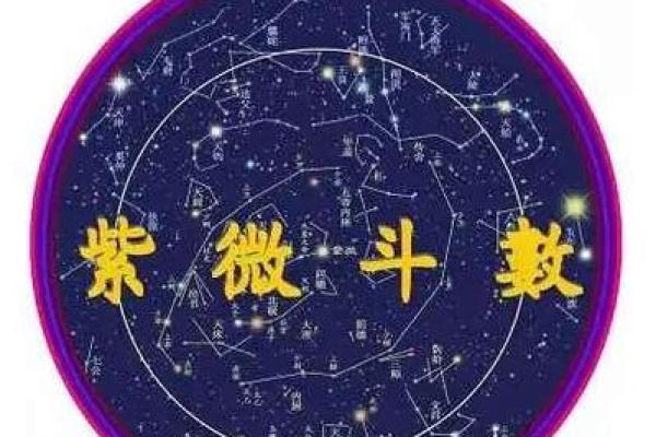 庄氏紫微斗数入门基础知识 庄氏资料？
