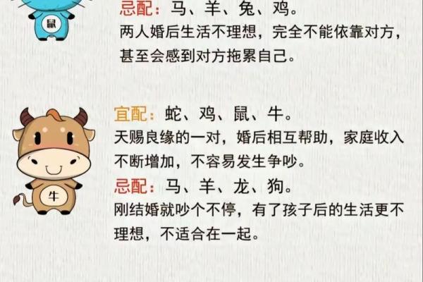 生肖查询：1997年属什么生肖？配对