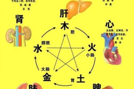八字看身体